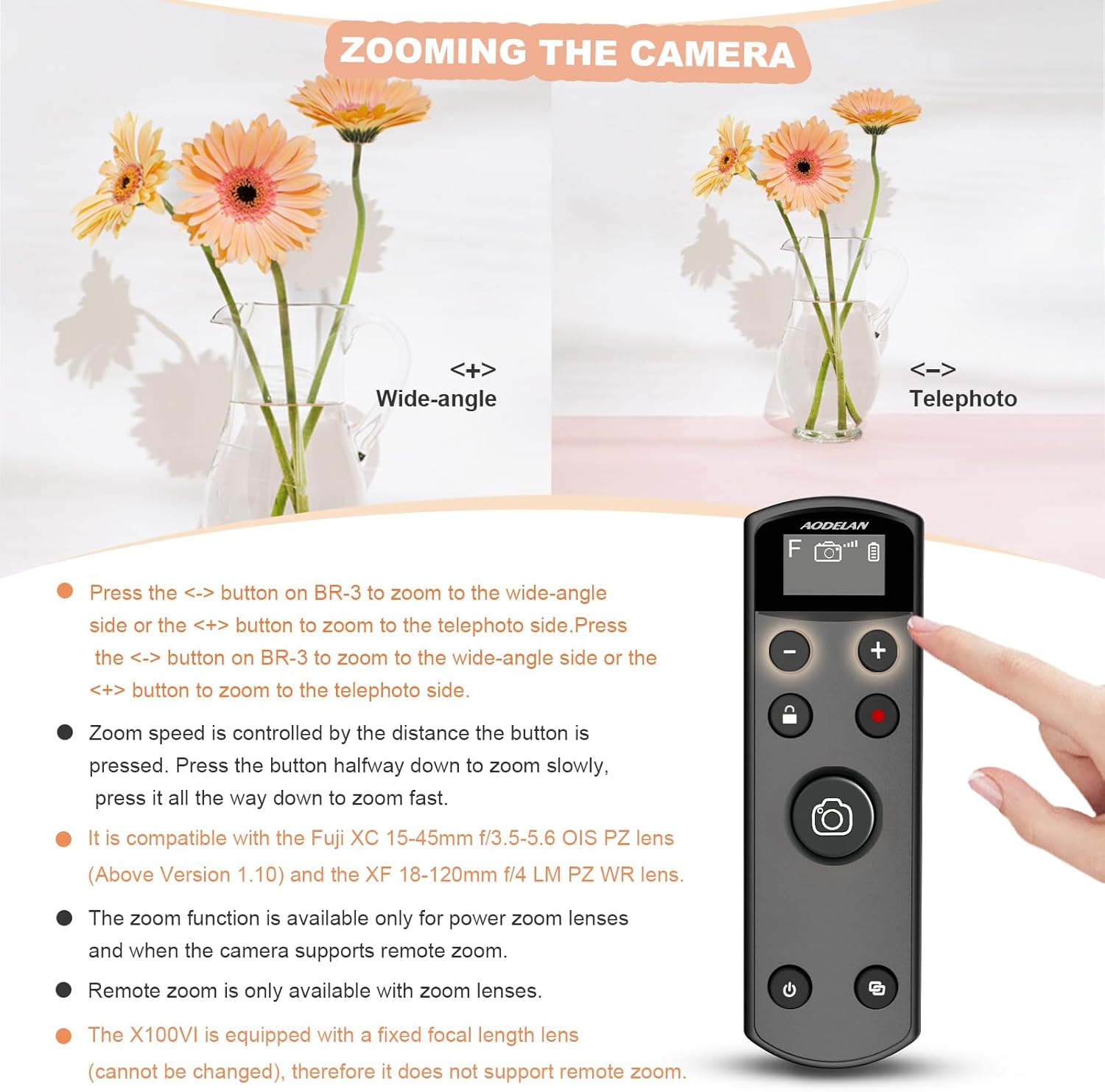 Zwarte USB-C oplaadbare afstan - Fujifilm Camera X100Vi recensie en prijs